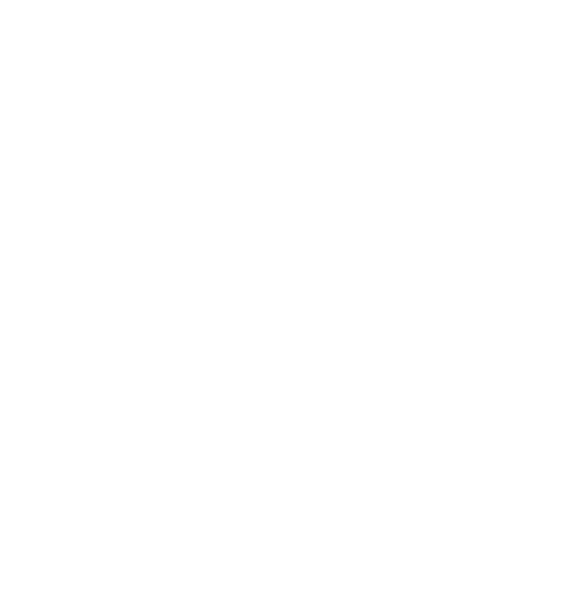 VEAUDIO